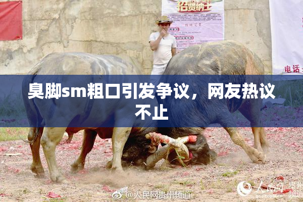 臭脚sm粗口引发争议，网友热议不止