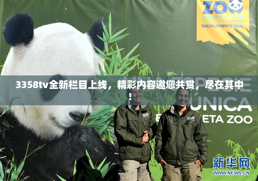 3358tv全新栏目上线，精彩内容邀您共赏，尽在其中！