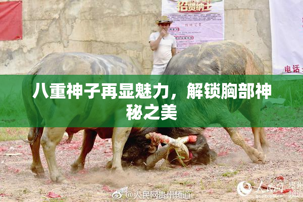 八重神子再显魅力，解锁胸部神秘之美