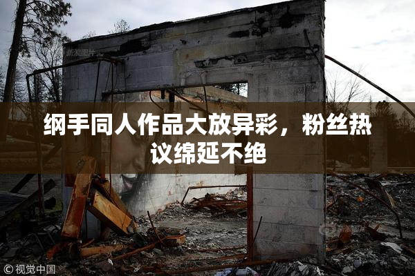 纲手同人作品大放异彩，粉丝热议绵延不绝