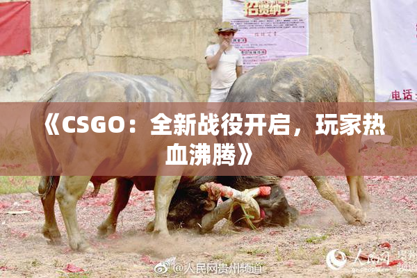 《CSGO：全新战役开启，玩家热血沸腾》
