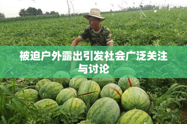 被迫户外露出引发社会广泛关注与讨论