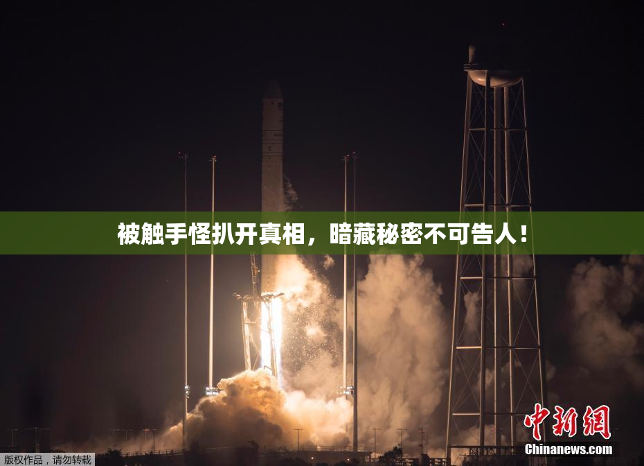 被触手怪扒开真相，暗藏秘密不可告人！