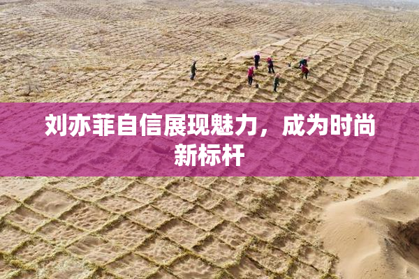 刘亦菲自信展现魅力，成为时尚新标杆