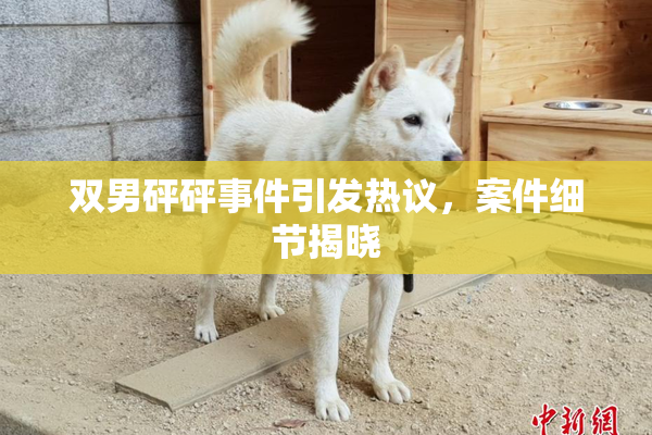 双男砰砰事件引发热议，案件细节揭晓