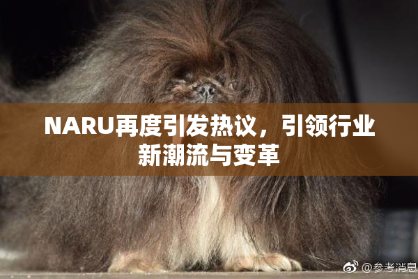 NARU再度引发热议，引领行业新潮流与变革
