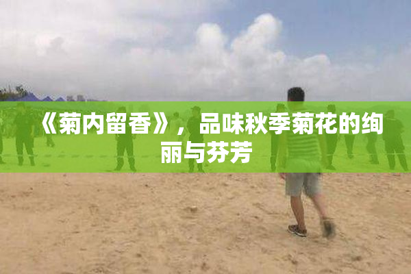 《菊内留香》，品味秋季菊花的绚丽与芬芳