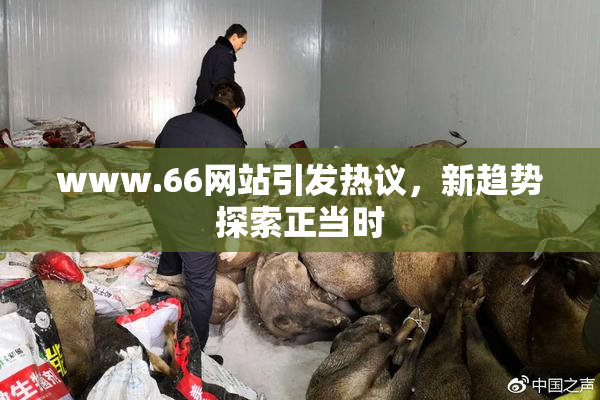 www.66网站引发热议，新趋势探索正当时