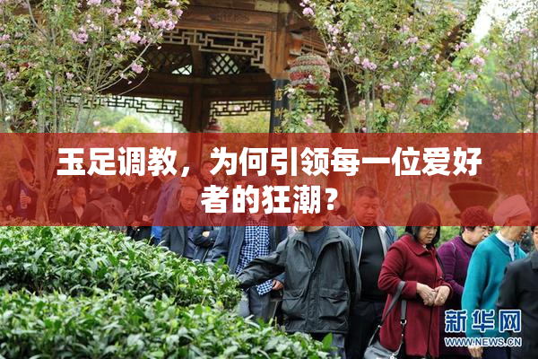 玉足调教，为何引领每一位爱好者的狂潮？
