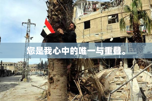 您是我心中的唯一与重叠。