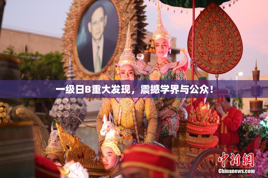 一级日B重大发现，震撼学界与公众！