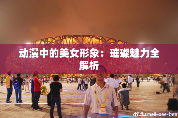 动漫中的美女形象：璀璨魅力全解析