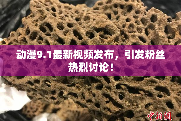 动漫9.1最新视频发布，引发粉丝热烈讨论！