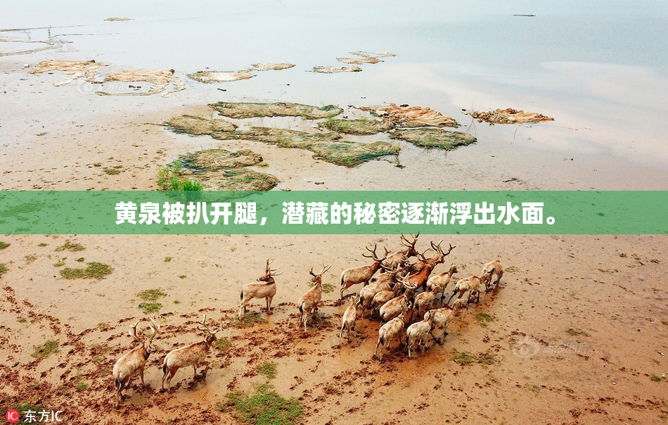 黄泉被扒开腿，潜藏的秘密逐渐浮出水面。