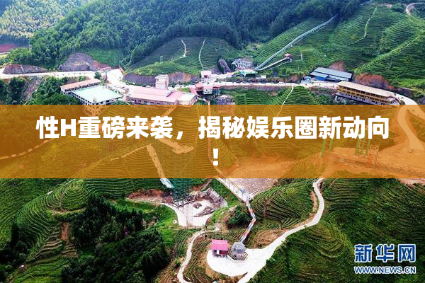 性H重磅来袭，揭秘娱乐圈新动向！