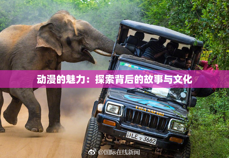 动漫的魅力：探索背后的故事与文化