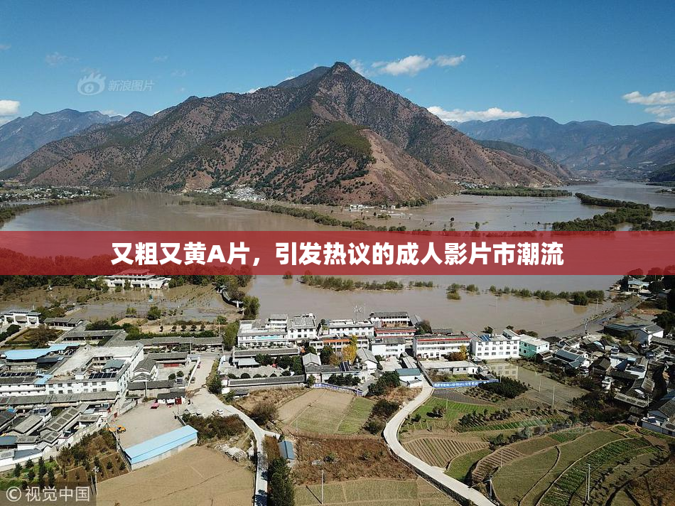 又粗又黄A片，引发热议的成人影片市潮流