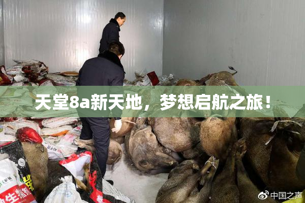 天堂8a新天地，梦想启航之旅！