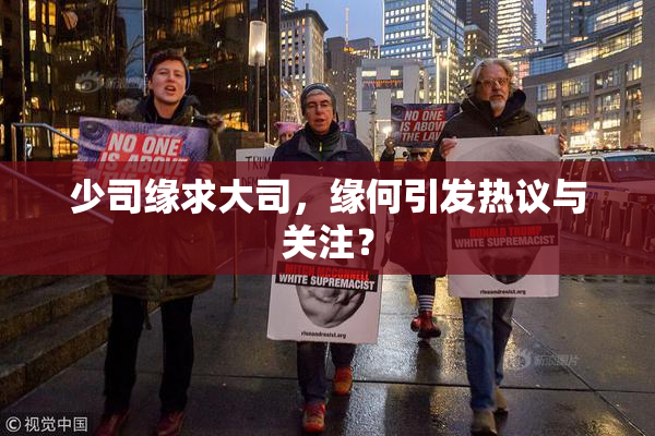 少司缘求大司，缘何引发热议与关注？