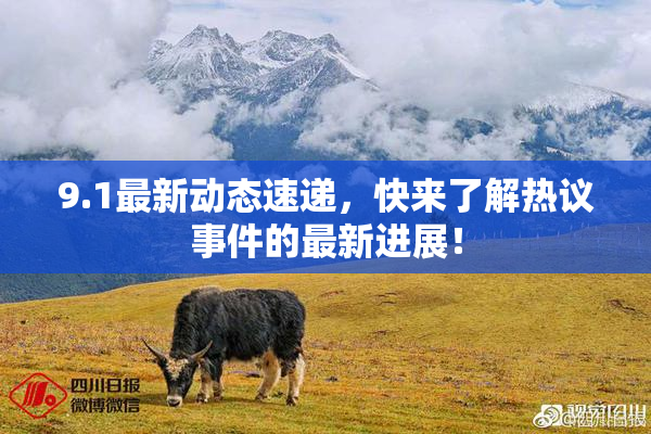 9.1最新动态速递，快来了解热议事件的最新进展！