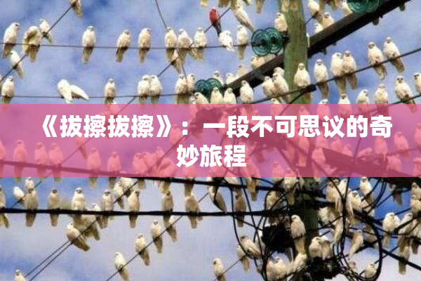 《拔擦拔擦》：一段不可思议的奇妙旅程