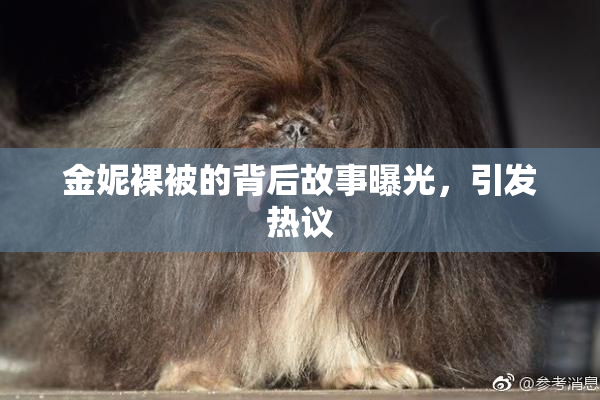 金妮裸被的背后故事曝光，引发热议