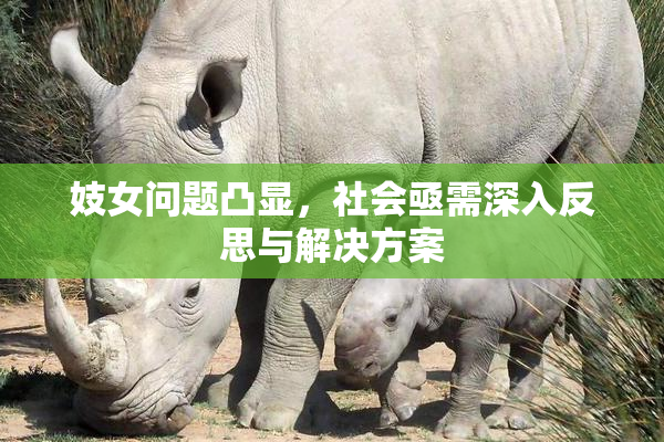 妓女问题凸显，社会亟需深入反思与解决方案
