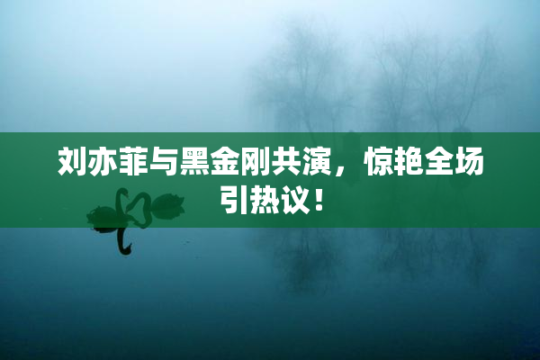刘亦菲与黑金刚共演，惊艳全场引热议！