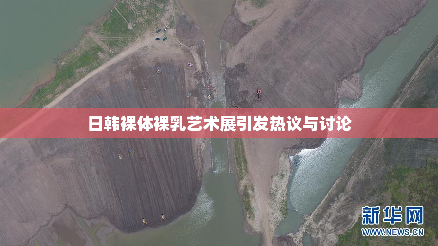 日韩裸体裸乳艺术展引发热议与讨论