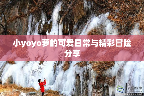 小yoyo萝的可爱日常与精彩冒险分享