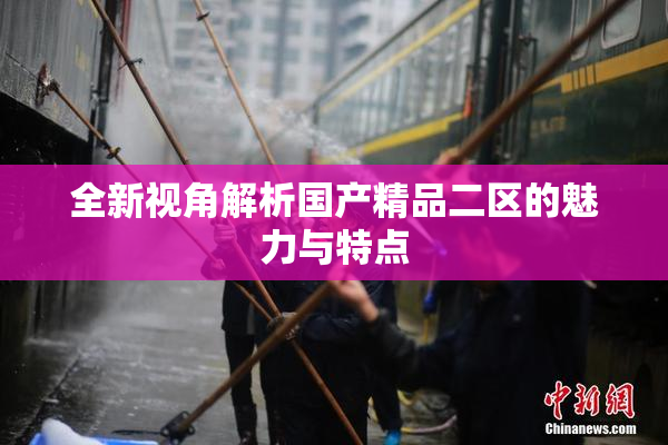 全新视角解析国产精品二区的魅力与特点