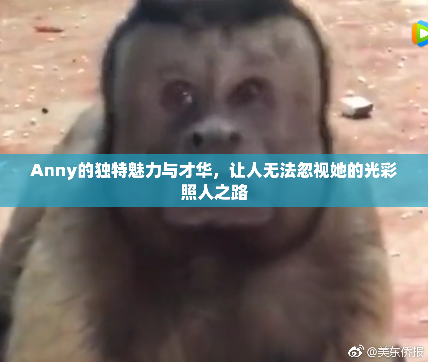 Anny的独特魅力与才华，让人无法忽视她的光彩照人之路