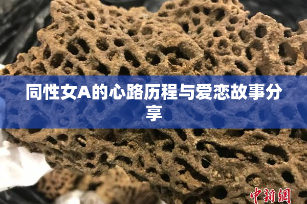 同性女A的心路历程与爱恋故事分享