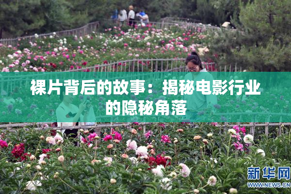 裸片背后的故事：揭秘电影行业的隐秘角落