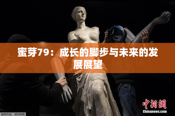蜜芽79：成长的脚步与未来的发展展望