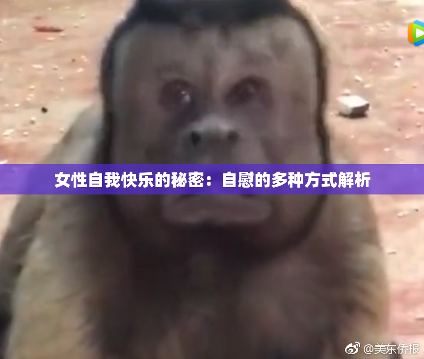 女性自我快乐的秘密：自慰的多种方式解析