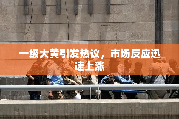 一级大黄引发热议，市场反应迅速上涨
