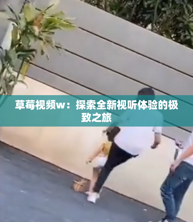 草莓视频w：探索全新视听体验的极致之旅
