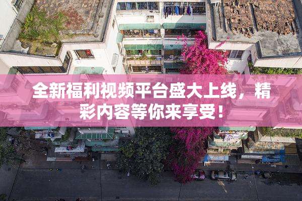 全新福利视频平台盛大上线，精彩内容等你来享受！