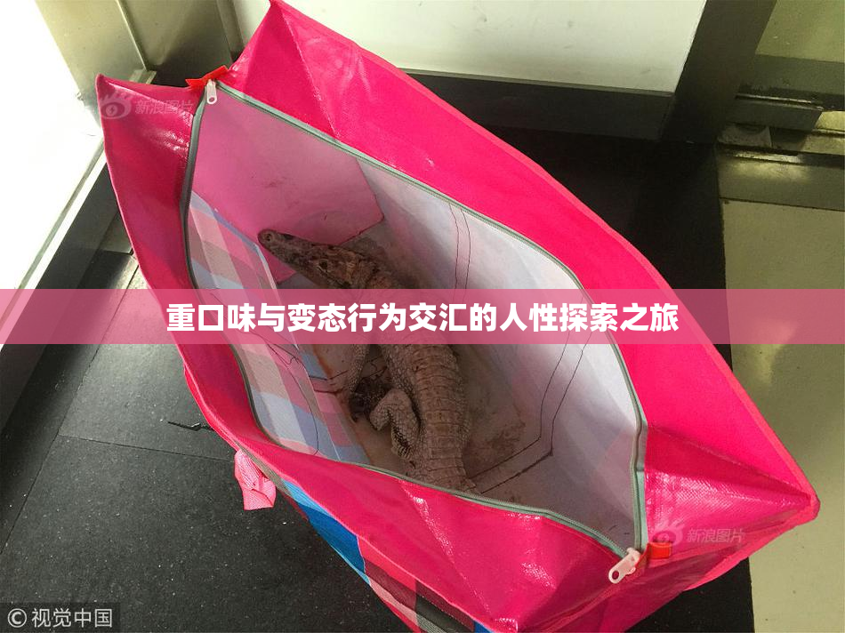 重口味与变态行为交汇的人性探索之旅