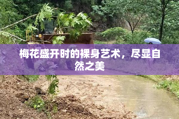 梅花盛开时的裸身艺术，尽显自然之美
