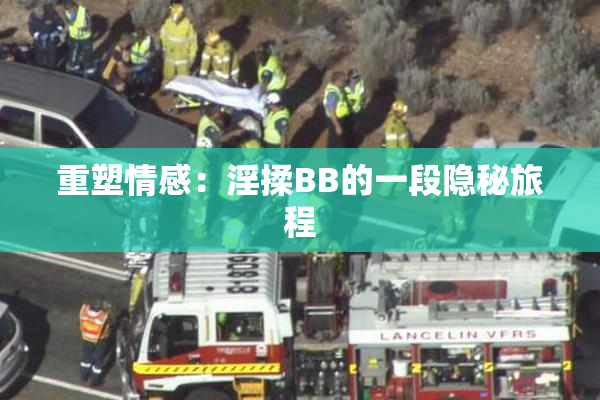 重塑情感：淫揉BB的一段隐秘旅程