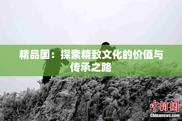 精品国：探索精致文化的价值与传承之路