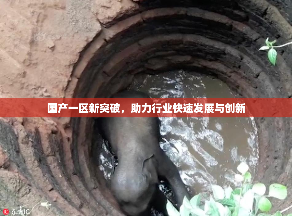 国产一区新突破，助力行业快速发展与创新
