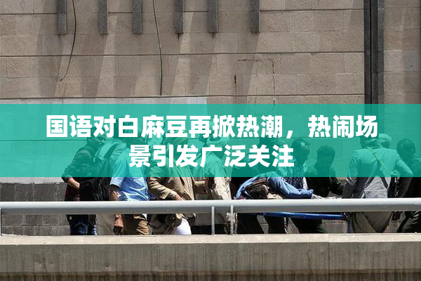国语对白麻豆再掀热潮，热闹场景引发广泛关注