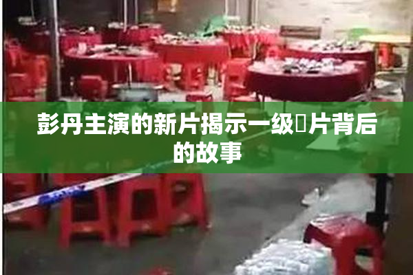 彭丹主演的新片揭示一级婬片背后的故事