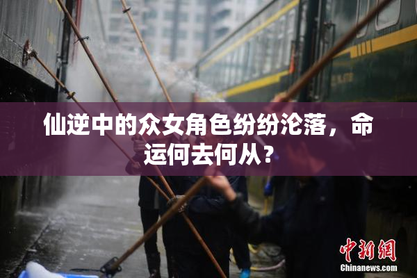 仙逆中的众女角色纷纷沦落，命运何去何从？