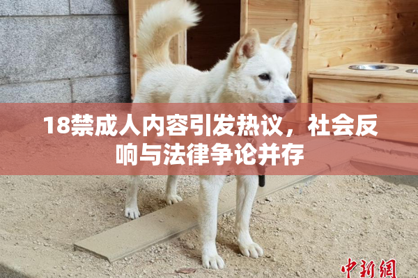 18禁成人内容引发热议，社会反响与法律争论并存