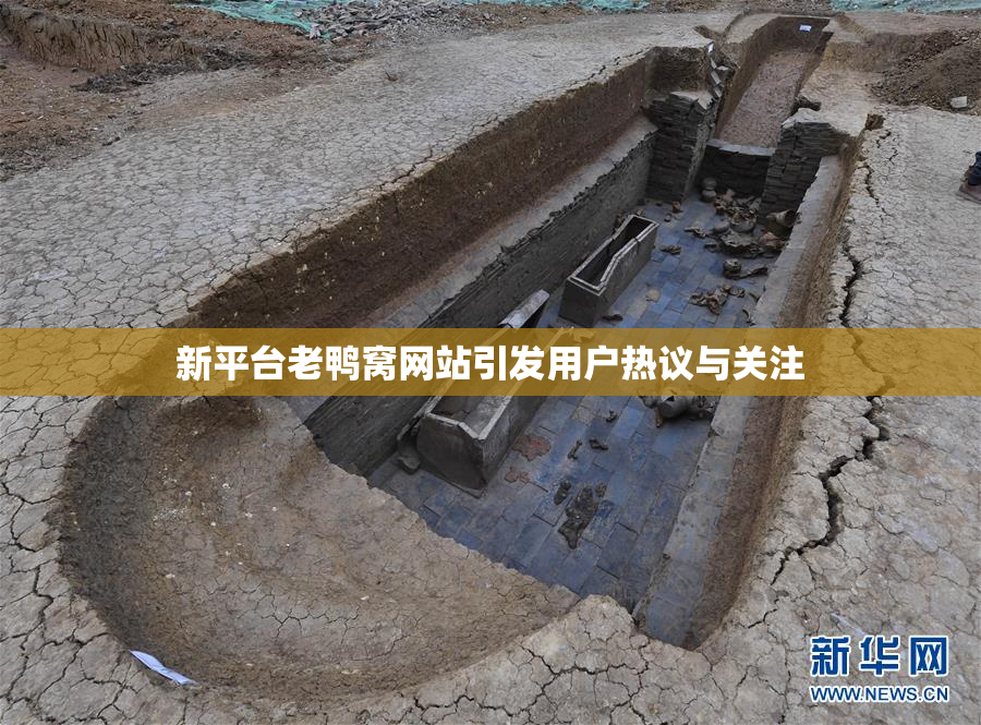 新平台老鸭窝网站引发用户热议与关注