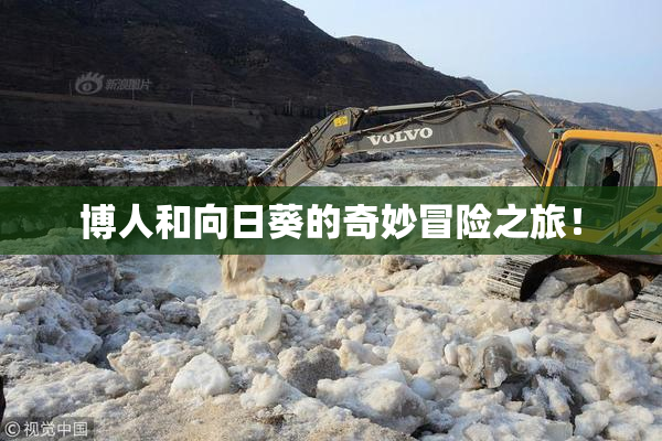 博人和向日葵的奇妙冒险之旅！